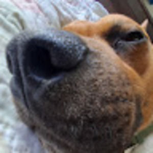 Meet your Posher, Edras